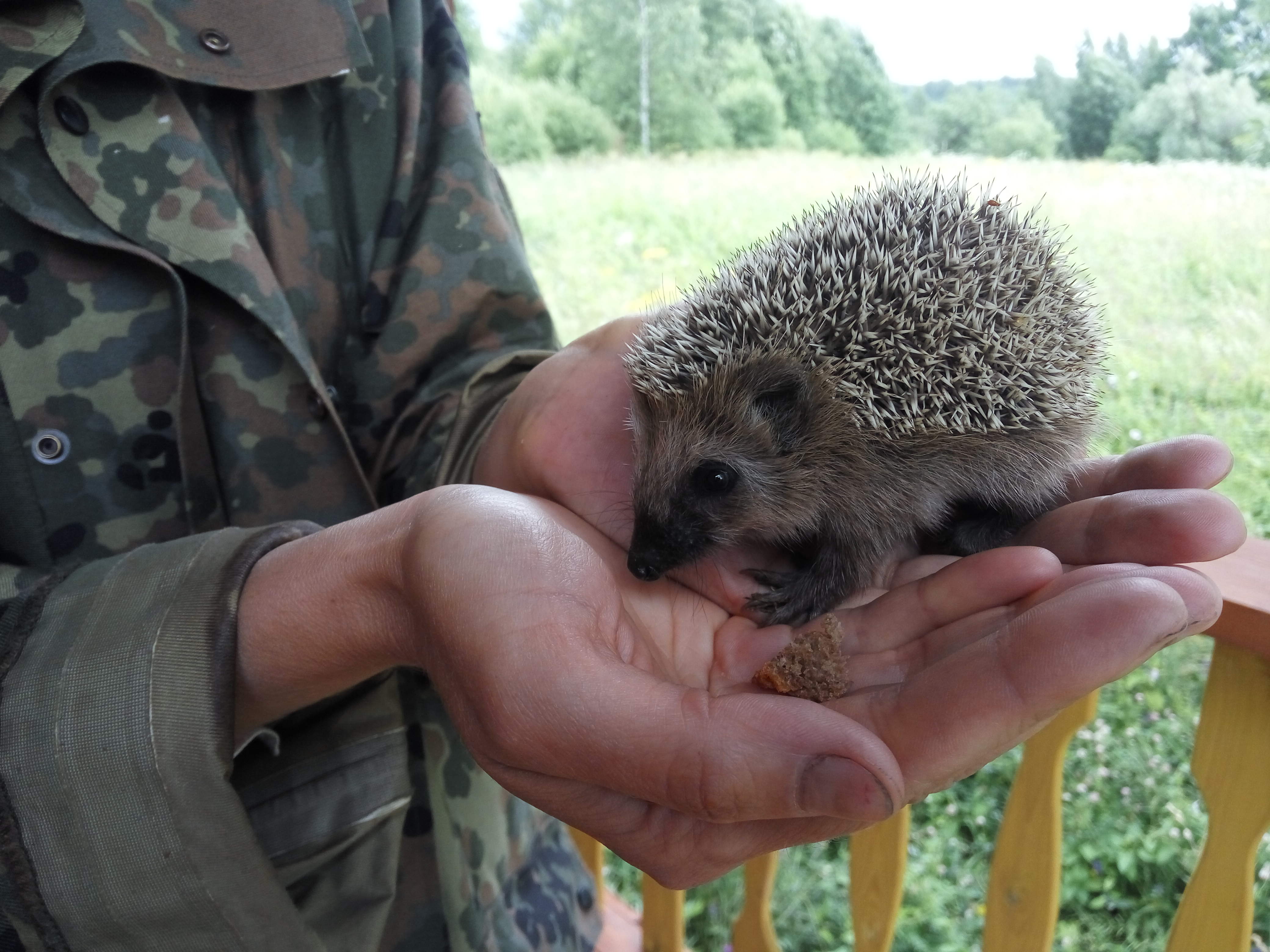 Евгений